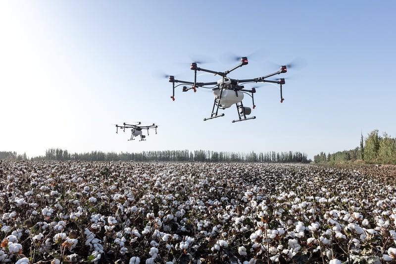 Organic Cotton
